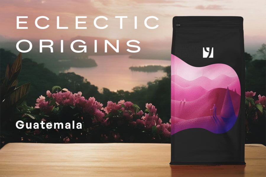 ECLECTIC ORIGINS GUATEMALA, 500g