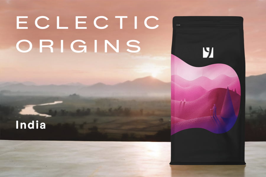 ECLECTIC ORIGINS INDIA, 500g